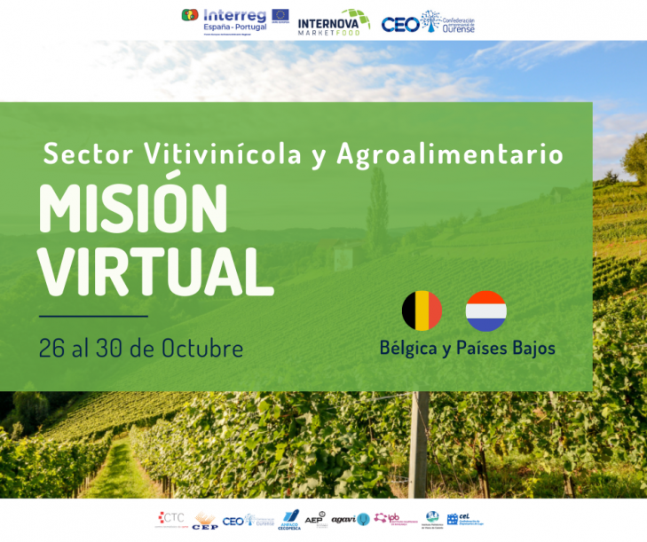 mision-empresarial-virtual-belgica-e-paises-baixos